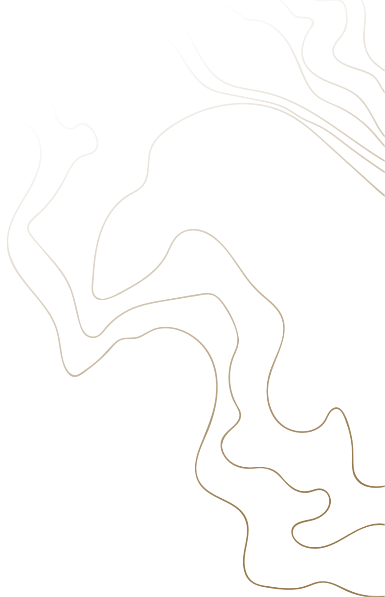 background-lines